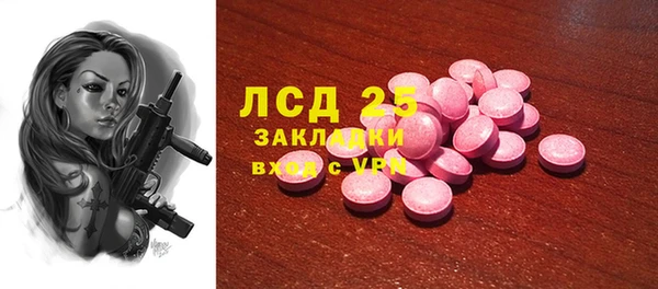 ГАЛЛЮЦИНОГЕННЫЕ ГРИБЫ Абаза