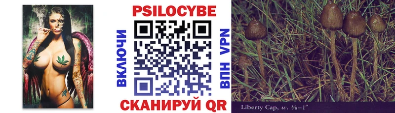 Галлюциногенные грибы прущие грибы  где найти   Приволжск 